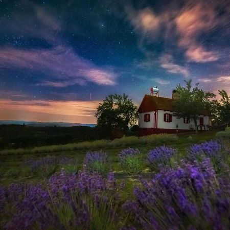 Lavanda Carasova Crasova Екстериор снимка