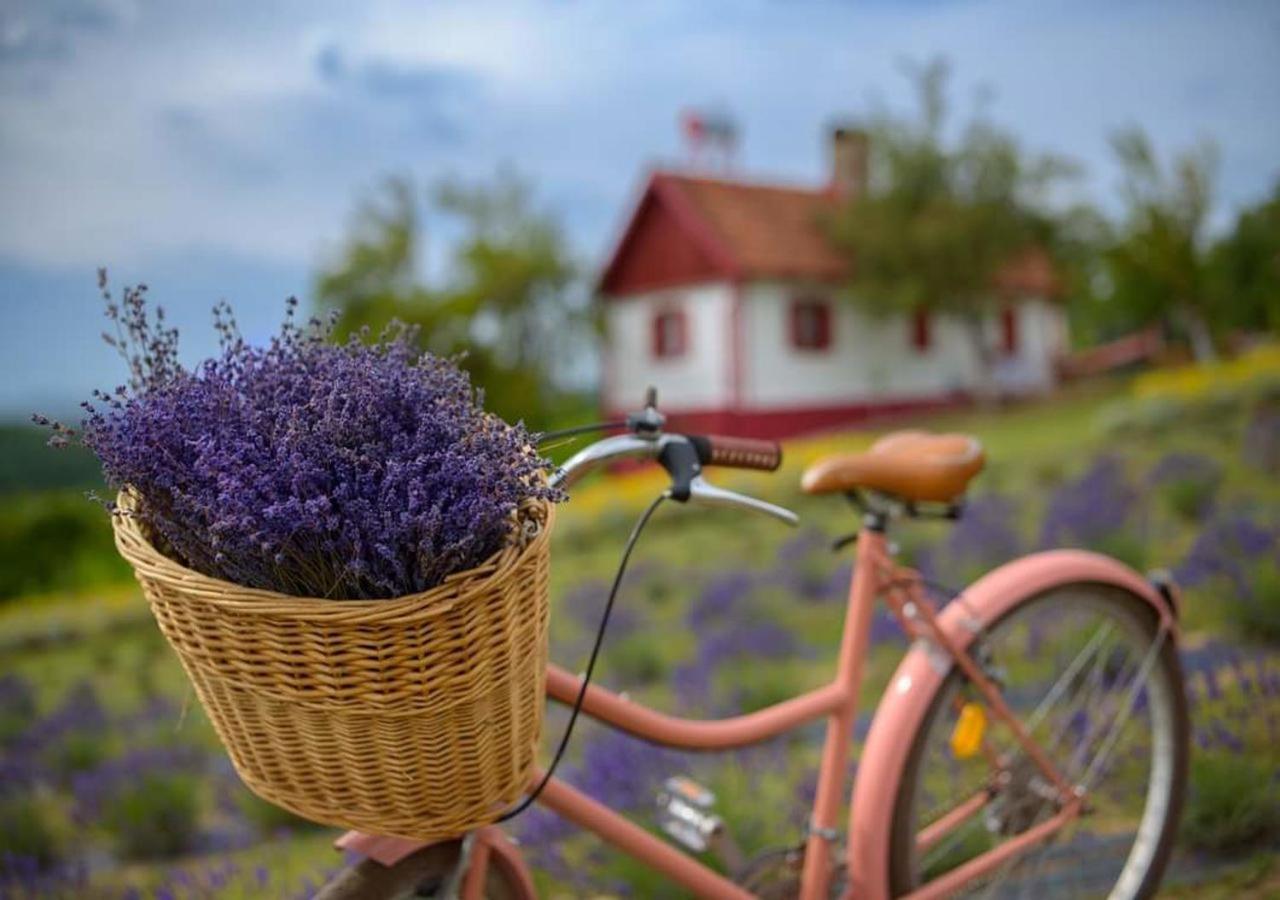 Lavanda Carasova Crasova Екстериор снимка